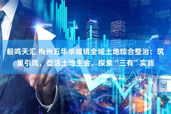 毅鸣天汇 梅州五华华城镇全域土地综合整治：筑巢引凤，盘活土地生金，探索“三有”实践